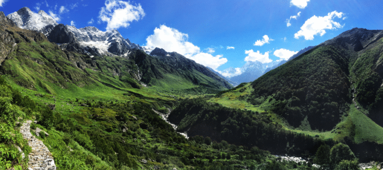The Valley of Flowers