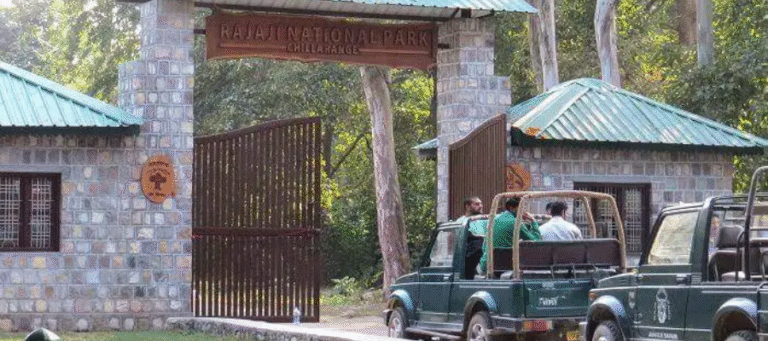 Rajaji tiger reserve