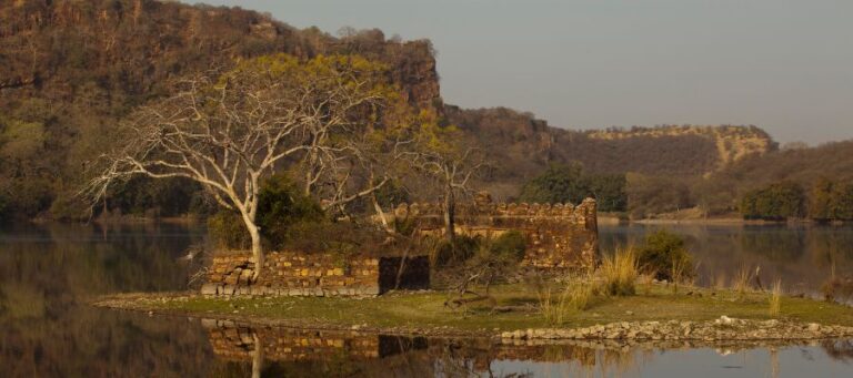 Padam Talao (lake) and Jogi Mahal