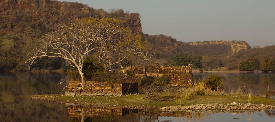 Padam Talao (lake) and Jogi Mahal