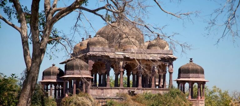 Ranthambore Fort (inside the park)