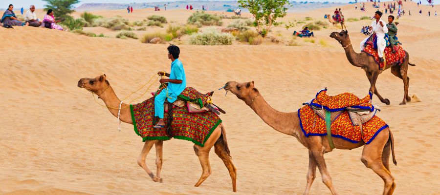 Sam Sand Dunes (Thar Desert)