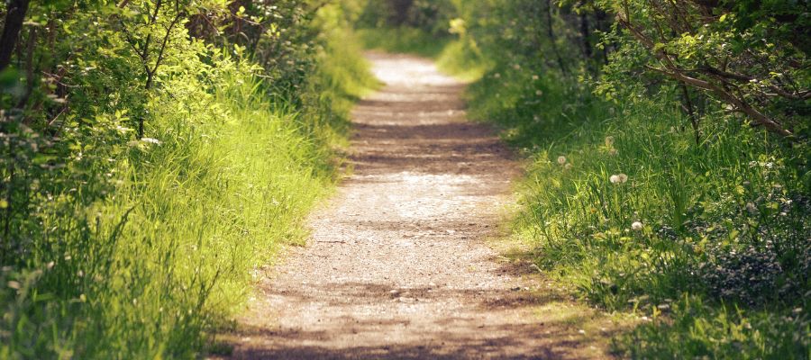 Chhaskhet Nature Walk