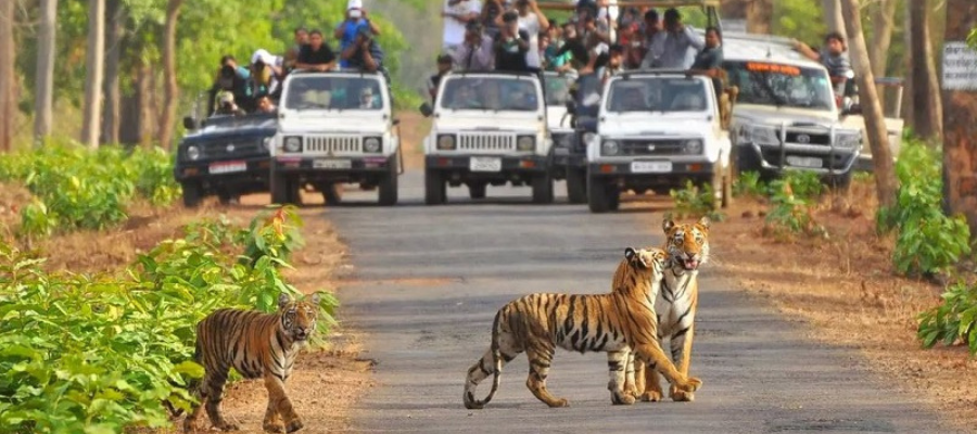 Jim Corbett National Park