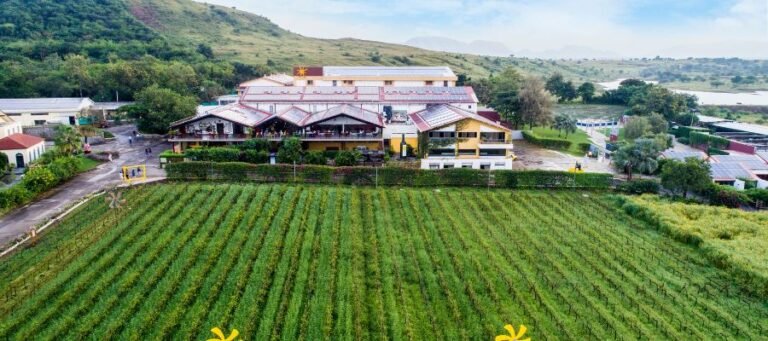 Sula Vineyards