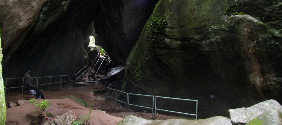 Wayanad Hills, Edakkal Caves And Plantations