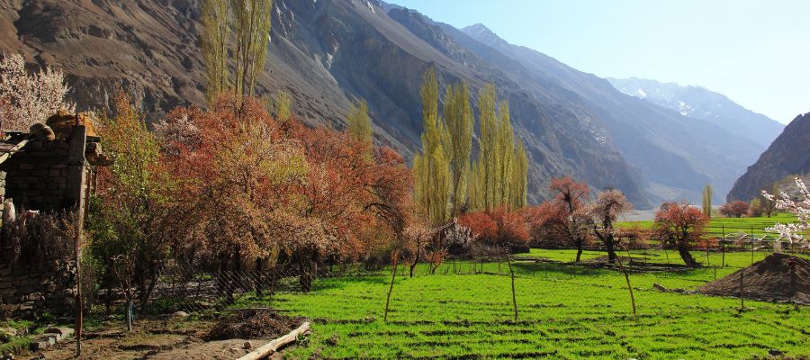 Turtuk Village and Heritage Houses