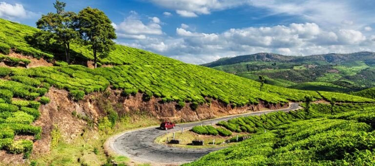 Tea Plantations and Hill Town