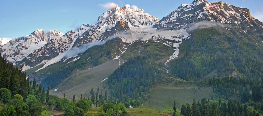 Sonamarg Meadows and Thajiwas Glacier