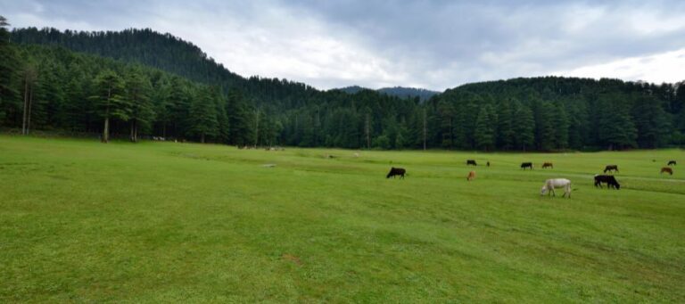 Dalhousie Hill Station And Khajjiar Meadow
