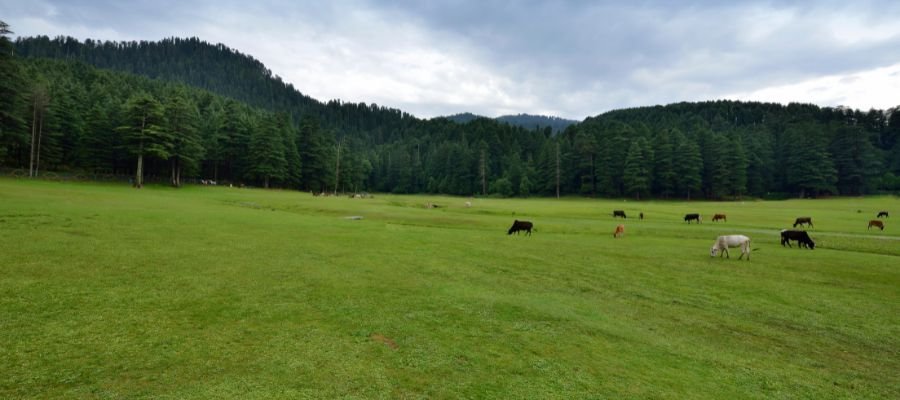 Dalhousie Hill Station And Khajjiar Meadow