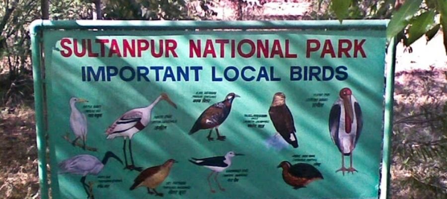Sultanpur National Park