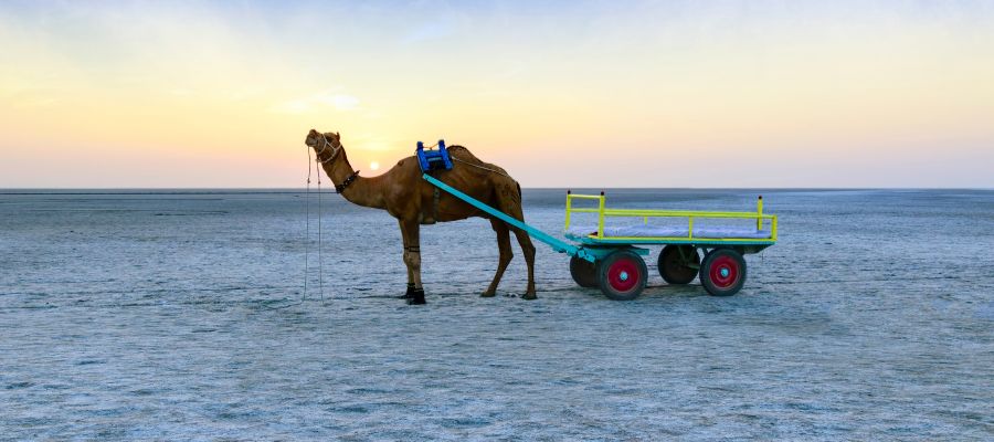 White Desert – Great Rann of Kutch (near Dhordo)