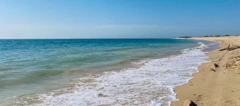 Shivrajpur Beach (Blue Flag Beach)