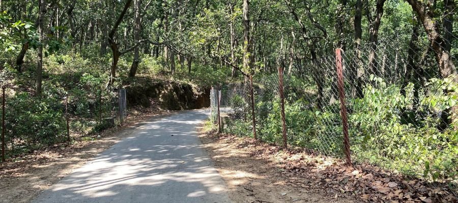 Kalesar National Park