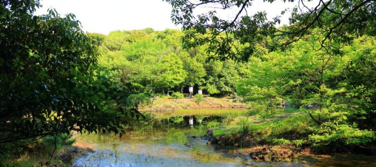 Bhindawas Wildlife Sanctuary (Ramsar Wetland)
