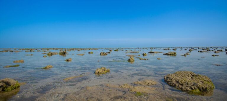 Marine National Park, Gulf of Kutch (Narara Side)