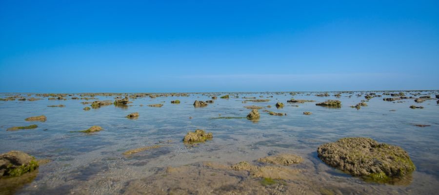 Marine National Park, Gulf of Kutch (Narara Side)