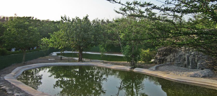 Pradyuman Zoological Park (Rajkot Zoo)