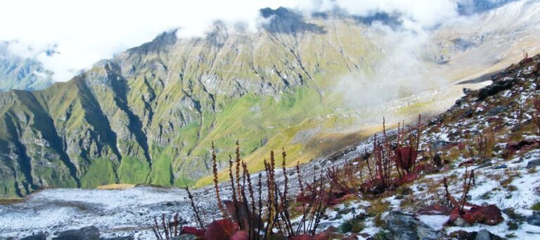 Nanda Devi National Park