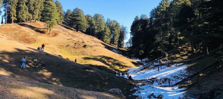 Deoban (Devban – “God’s Own Forest”)