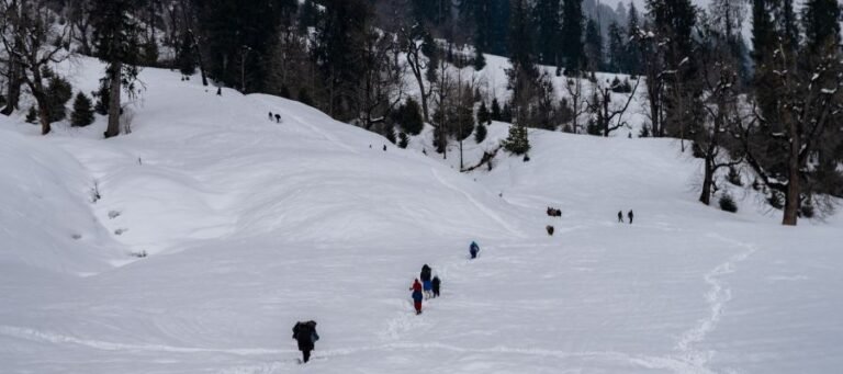 Solang Valley (Adventure and Snow Point)