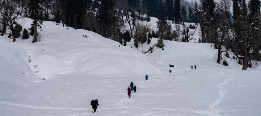 Solang Valley (Adventure and Snow Point)