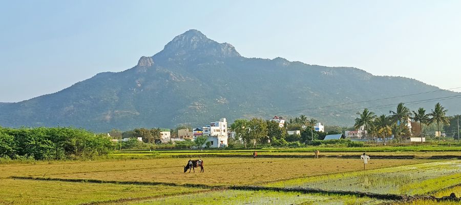 Arunachala Hill Girivalam Path