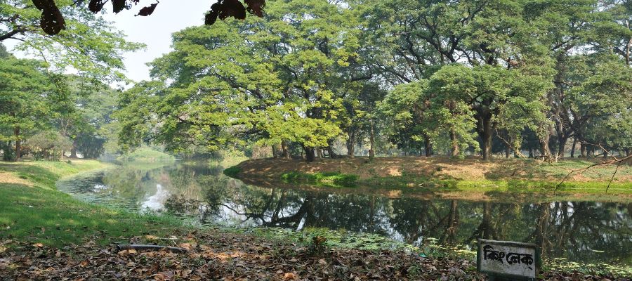 Acharya Jagadish Chandra Bose Indian Botanic Garden