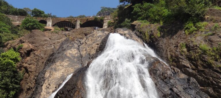Bhagwan Mahaveer Sanctuary