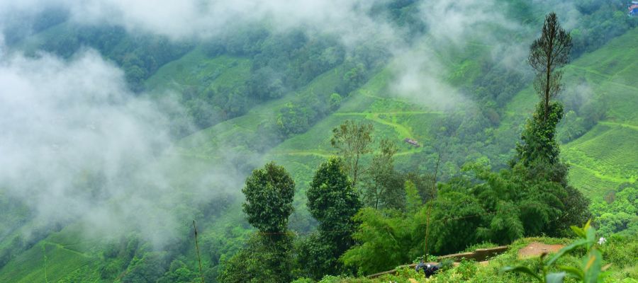 Top Cities of West Bengal