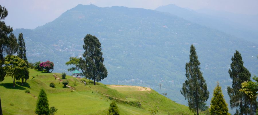 Explore Darjeeling Scenic Spots