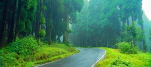 Explore Darjeeling Scenic Spots