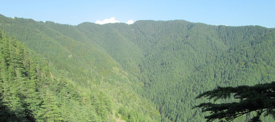 Top 10 Famous Spots in Shimla