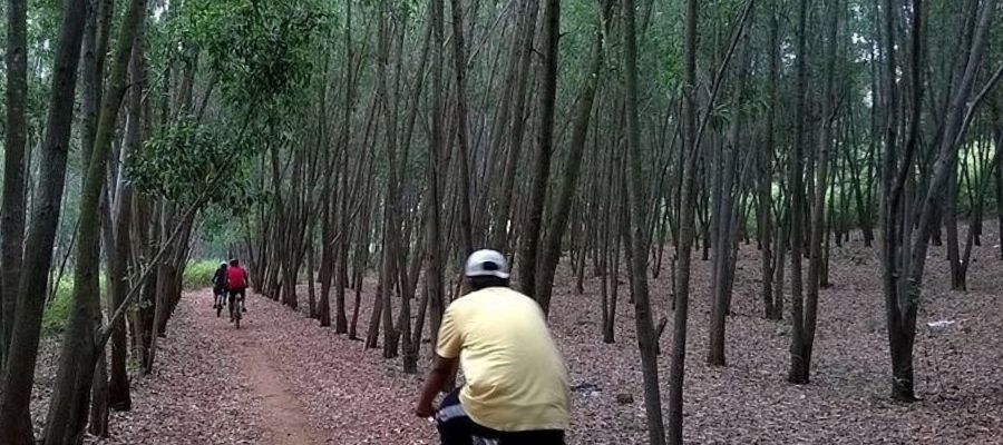 Hidden Gems of Bengaluru