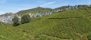 Top 11 Places to Visit Kerala