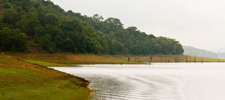 Top 11 Places to Visit Kerala