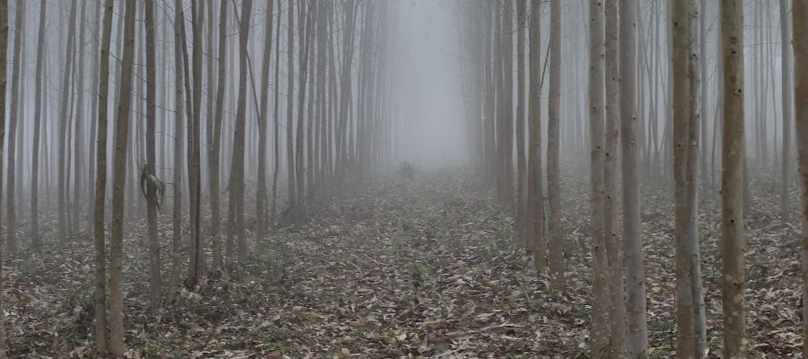 Top 13 Places to Visit Andhra Pradesh